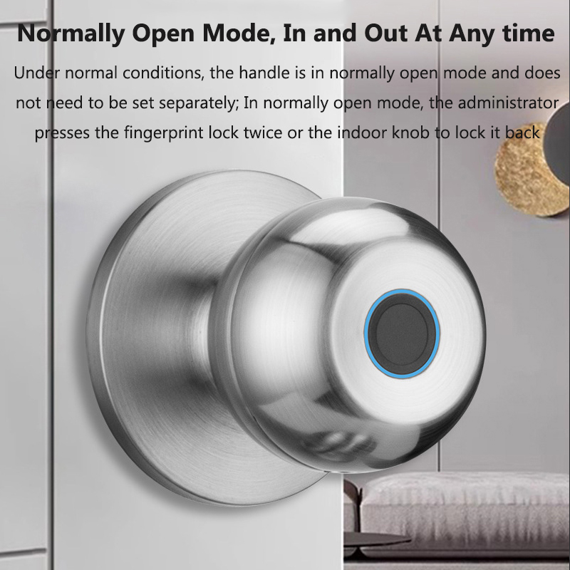 Tuya 도어 잠금 장치 스마트 지문 키 잠금 해제 블 - Smart Home Door Lock 리뷰 및 가격
