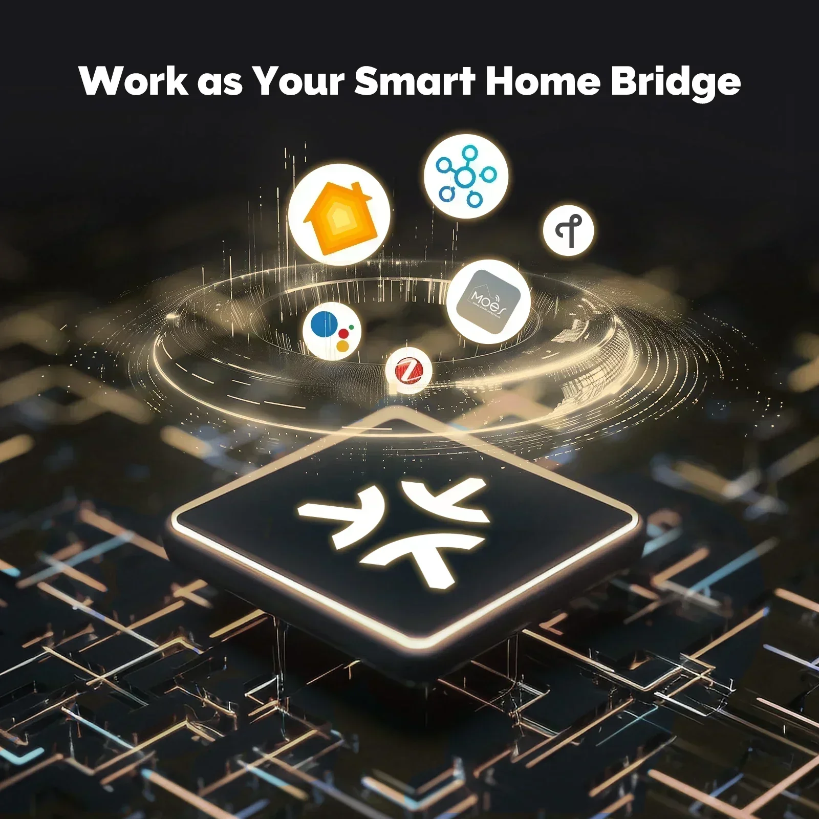 MOES Tuya Zigbee Matter 스레드 게이 - Smart Home Registration 리뷰 및 가격