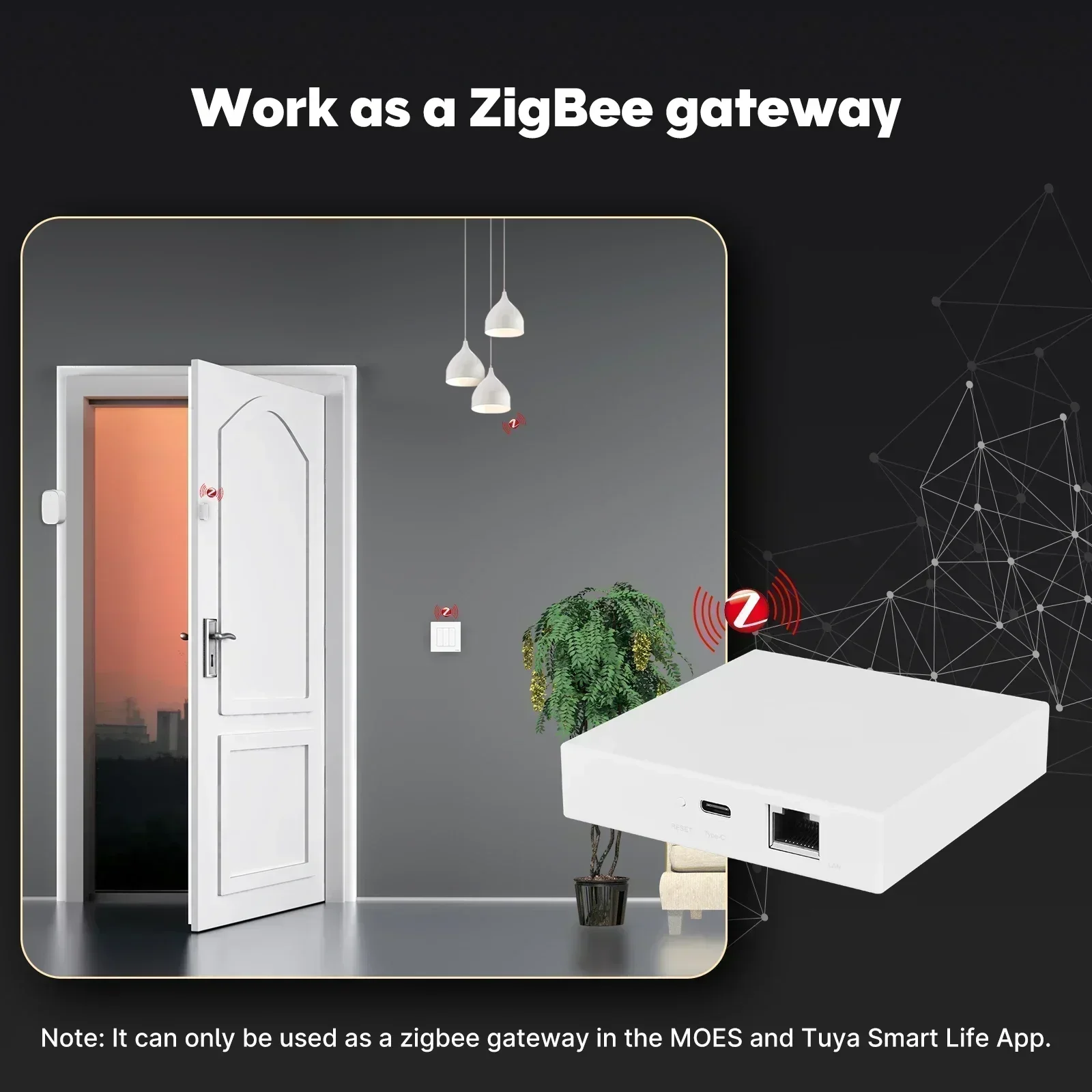MOES Tuya Zigbee Matter 스레드 게이 - Smart Home Registration 리뷰 및 가격