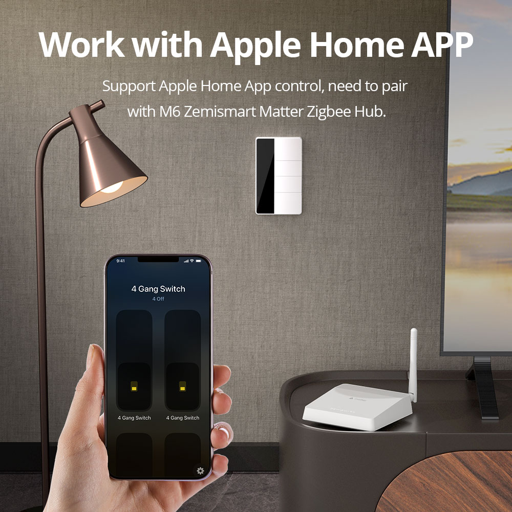 1234 갱 US 타입 지그비 푸시 라이트 스위치 제미 - Zigbee Gateway 리뷰 및 가격