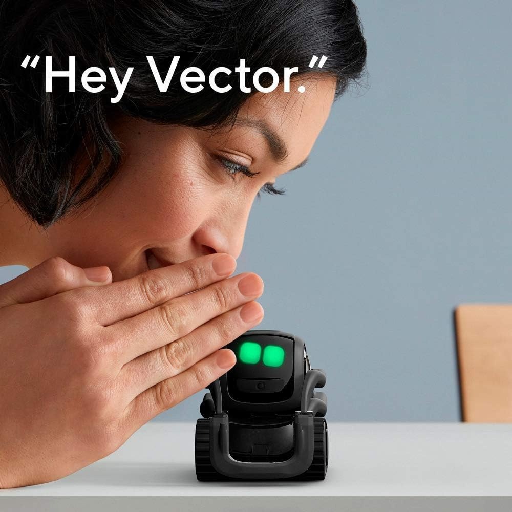 AI ChatGPT 2.0 연결형 로봇 동반자, 얼굴  - Smart Home Battery Camera 리뷰 및 가격