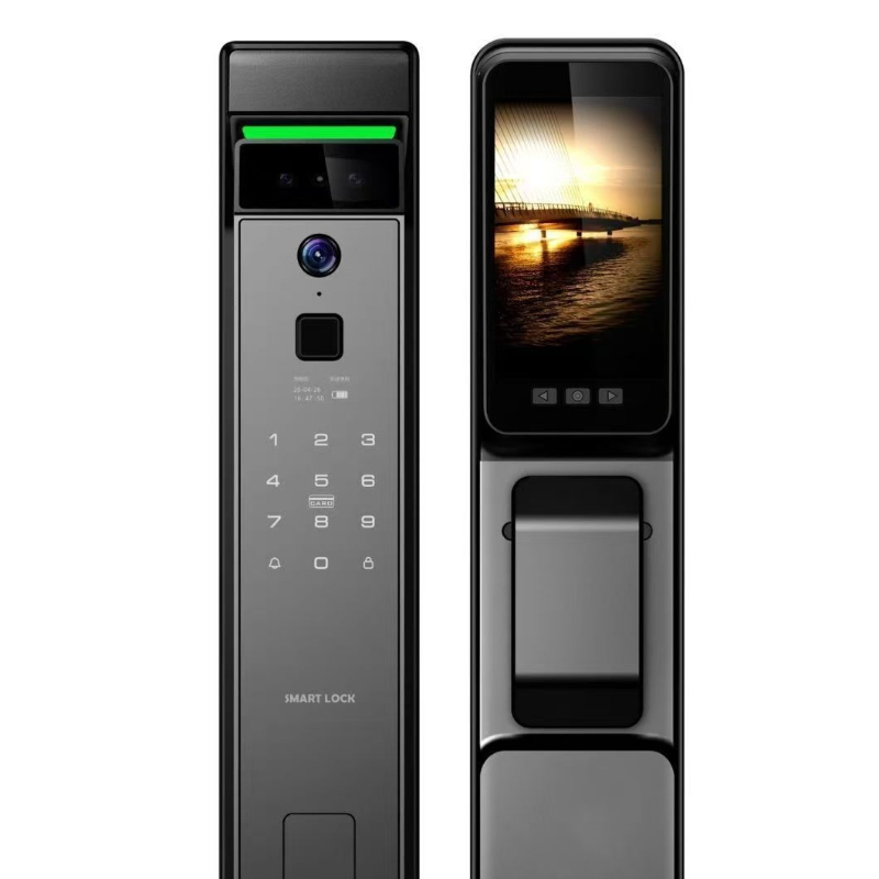 3D 얼굴 인식 지문 잠금 해제 출입문 비밀번호 TUY - Smart Home Door Lock 리뷰 및 가격