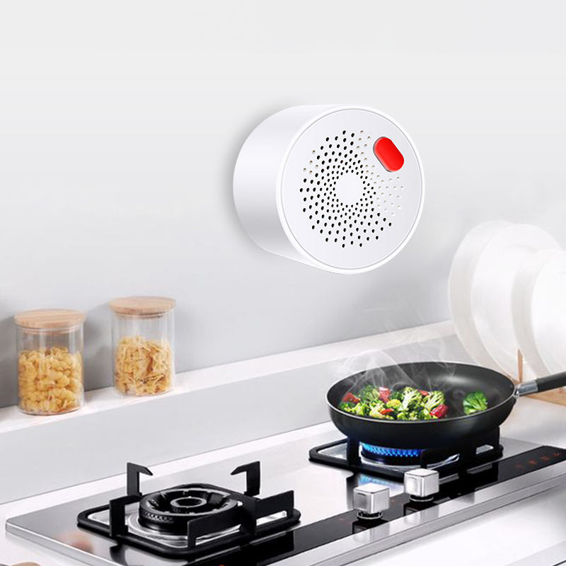 Tuya 스마트 홈 와이파이 천연 가스 센서, 가연성  - Smart Home Outdoor 리뷰 및 가격